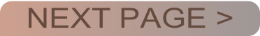 wp13ef5d85.png