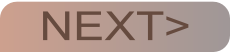 wp4e2a7534.png